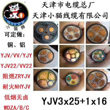 天津小猫电线电缆（原天津市电缆总厂YJV3X25+1x16国标电缆
