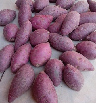 赣南有机食品新鲜紫薯生紫薯山地瓜紫薯紫番薯绿色