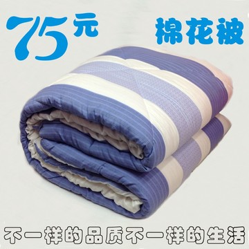 床上用品 新疆棉花被芯 冬被 学生宿舍 单人棉絮棉胎 特价加厚5斤