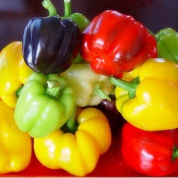 彩包种子五彩甜椒种子 椒蔬菜种子 家庭阳台盆栽多颜色甜椒 易种