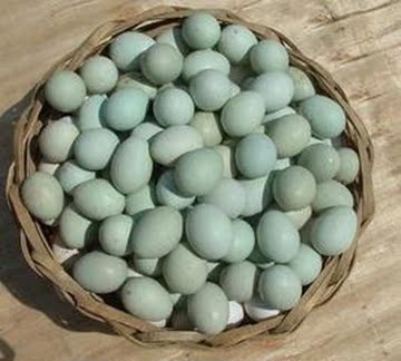 农家原生态绿壳鸡蛋 只发当天40枚包邮