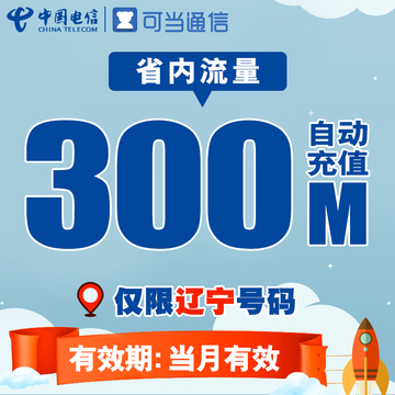 辽宁电信省内流量充值卡 300M本地流量包叠加手机卡上网加油包