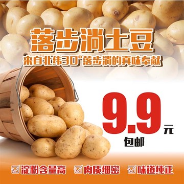 三峡 湖北高山农家自种 有机土豆 非转基因洋芋黄心土豆3斤装