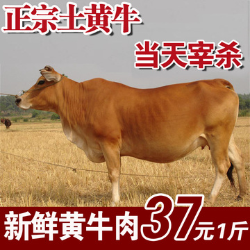农家放养黄牛 新鲜生牛肉 生鲜牛肉 牛腱子牛腩牛里脊肉 鲜牛肉
