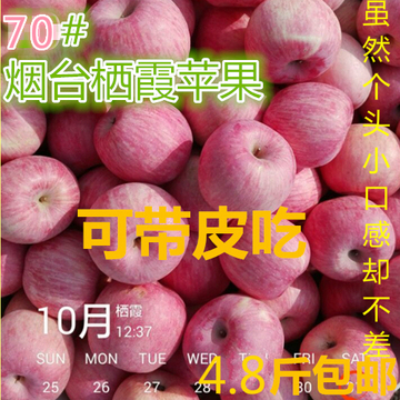 烟台苹果水果山东栖霞苹果孕妇新鲜红富士苹果产地直销斤包邮70