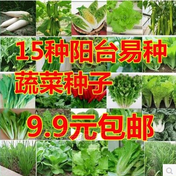 15种蔬菜种子套餐 易种阳台种菜 庭院蔬果菜籽春夏秋四季播包邮