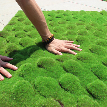 2015新款创意仿真青苔片仿真苔藓 生态苔藓景观 植物墙壁装饰包邮