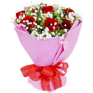 蕊语鲜花 玫瑰花束 生日情人节鲜花 9朵红玫瑰圆形包装 鲜花快递
