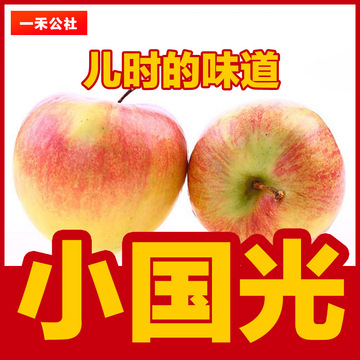 【一禾公社】大连小国光苹果10斤新鲜农家原生态水果年货礼盒包邮