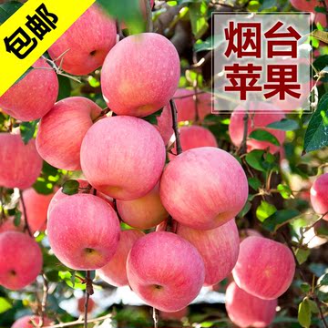 烟台红富士苹果水果新鲜山东栖霞包邮新鲜新果特产5斤80#胜阿克苏