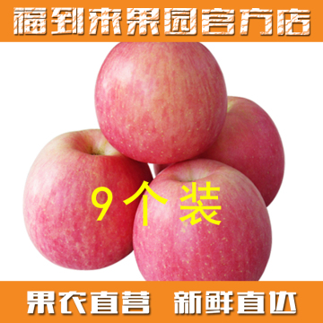 【福到来果园】山西临猗 红富士苹果 5斤装  新鲜苹果水果