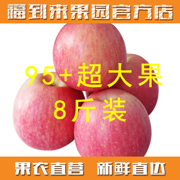 【福到来果园】临猗红富士苹果 8斤装 新鲜苹果水果泡沫箱装