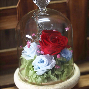 永生花玻璃罩礼盒干花保鲜花满天星玫瑰绣球圣诞节送女友生日礼物