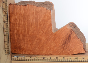 特级意大利进口石楠木料木块 带皮 火焰纹中号 TJ20756