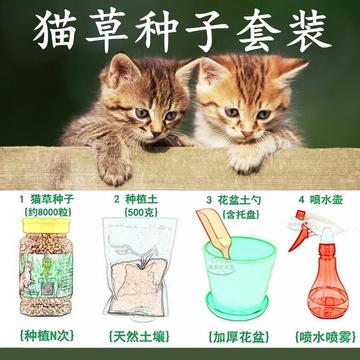 猫草种子套装新鲜有机猫咪零食调理肠胃去毛球猫薄荷发芽率高包邮