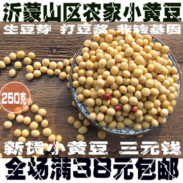 沂蒙山区农家自产有机小黄豆 非转基因大豆可发芽可打豆浆 250g