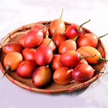 云南德宏独产 洋酸茄 树酸茄 树番茄 开胃菜 调味菜 热带水果
