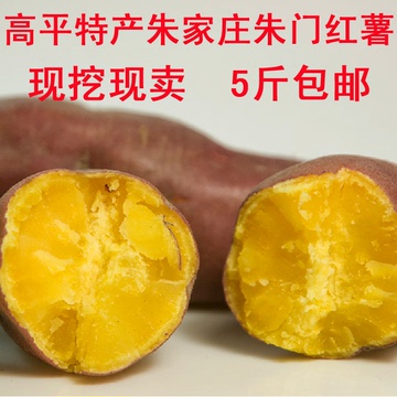 山西朱门红薯香薯新鲜红薯 黄心地瓜番薯山芋全国5斤包邮