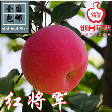 烟台苹果红富士栖霞特产红富士苹果80#5斤有机水果新鲜包邮