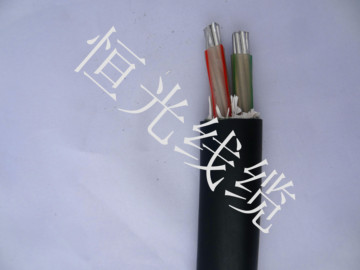 电线电缆两相线VLV 2芯*10平方 低压 电力电缆 铝芯电缆电源线
