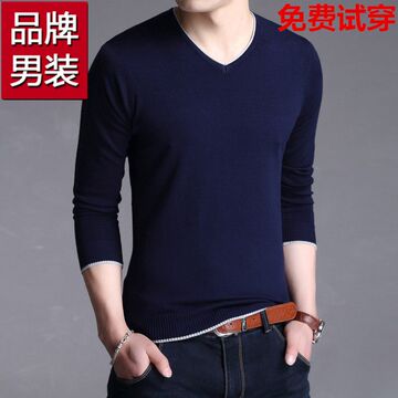 秋季新款韩版薄款修身打底衫纯色V领T恤休闲免烫中青年男士针织衫