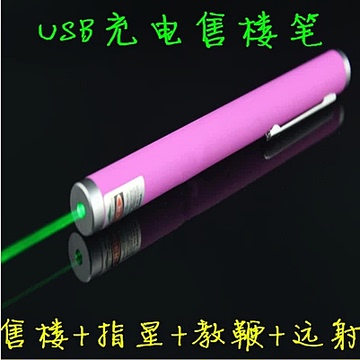 正品包邮 锂电指星笔绿光激光手电 红色激光灯 USB充电沙盘售楼笔