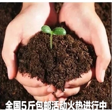 盆栽肥料花卉植物有机营养土200克养花土 种菜营养土 无菌营养土