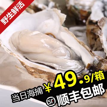 生蚝鲜活海鲜鲜活牡蛎带壳野生海蛎子肉水产品批发顺丰1件包邮