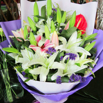 33朵香水百合母亲节花束生日情人节上海深圳广州杭州珠海同城送花