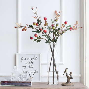 碧轩北欧简约透明玻璃花瓶创意家居装饰品摆件客厅仿真花插花花器