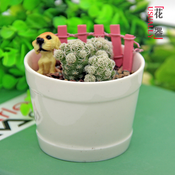 陶瓷花盆 创意花盆白色多肉植物花盆现代简约特大小陶瓷盆双边杯