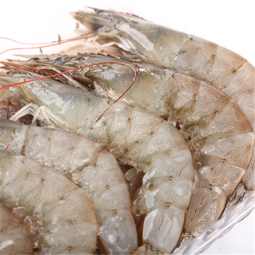 限时特价包邮批发酒店海鲜南美厄瓜多尔大白对虾20-30型号2kg海虾