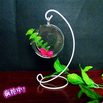 【天天特价】微景观植物花瓶苔藓瓶悬挂摆件多肉圆球铁架玻璃吊瓶