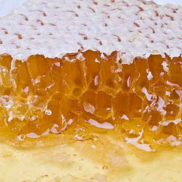 蜂蜜新款散装 龙眼蜜纯天然农家纯正有机液态蜜秋季野生500g包邮