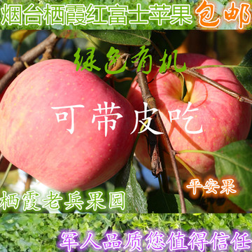 烟台苹果水果山东栖霞苹果孕妇新鲜红富士苹果产地直销10斤包邮