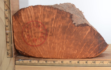 特级意大利进口石楠木料木块 带皮 火焰纹中号 TJ20755