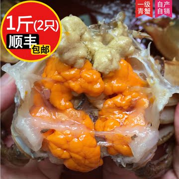 广州南沙青蟹 一级母蟹(膏蟹)1斤 鲜活海鲜 大红膏蟹螃蟹红鲟蟹