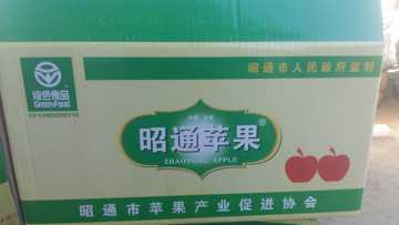 2016新鲜超好吃昭通早熟现摘苹果丑苹果野生苹果水果约5斤中果