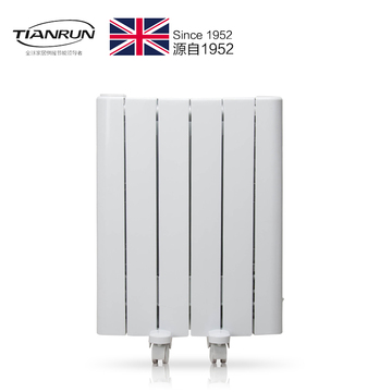 Tenrad取暖器 家用静音电暖器 智能带加湿器 节能恒温省电700W