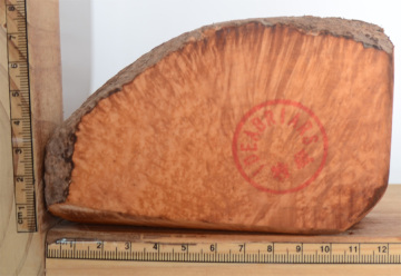 特级意大利进口石楠木料木块 带皮 火焰纹中大号 TJ20754