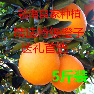 自家直销赣南脐橙原生态纯天然新鲜水果江西特级橙子有机果园现摘