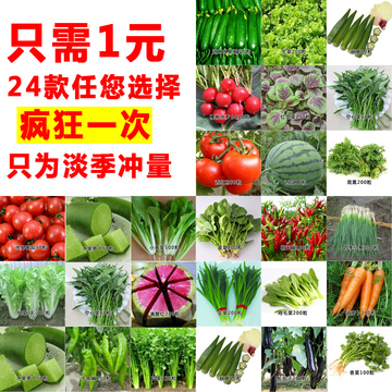 春夏季蔬菜种子套餐 阳台盆栽四季播易种菜种子 春季家庭菜籽包邮