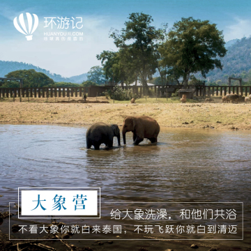 环游记 清迈旅游美莎美旺大象营骑大象看表演丛林飞跃漂流含餐