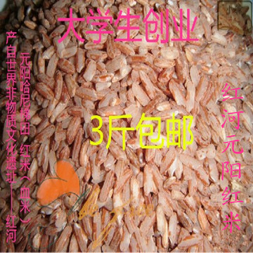 云南特产红河元阳哈尼红米（血米）农家老品种红米糙米味好可批发