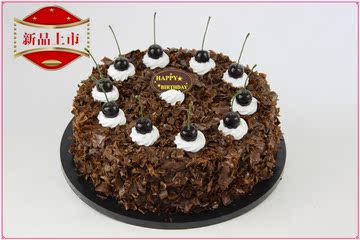 巧克力蛋糕模型 欧式蛋糕模型 仿真蛋糕 塑胶蛋糕样品 开业必备品