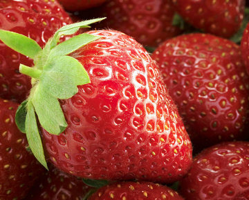 15元包邮 红草莓种子50粒 庭院水果 阳台盆栽四季播蔬菜蔬果种子