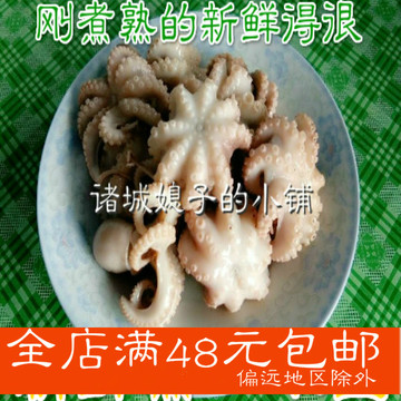 新鲜海鲜 活鲜 熟小章鱼仔八带鱼八爪鱼望潮寿司火锅食食材必备