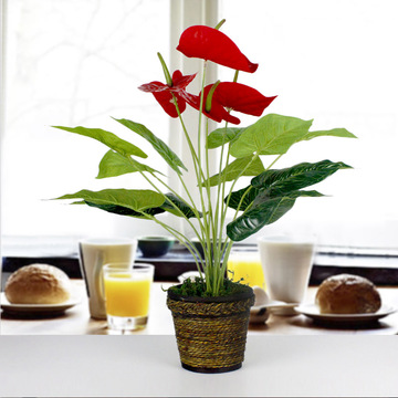大红掌仿真塑料花假植物客厅户外阳台摆放装饰花卉盆栽植物墙摆件