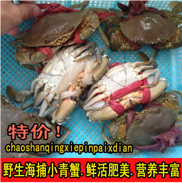 （野生小青蟹）小海蟹.鲜活海产水产品.活蟹肉蟹.河蟹.鲜活螃蟹.