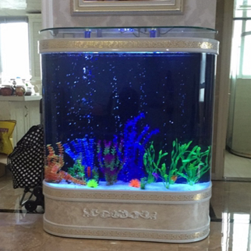 欧式圆角双弧形鱼缸玻璃水族箱1米1.2米靠墙生态免换水鱼缸包邮